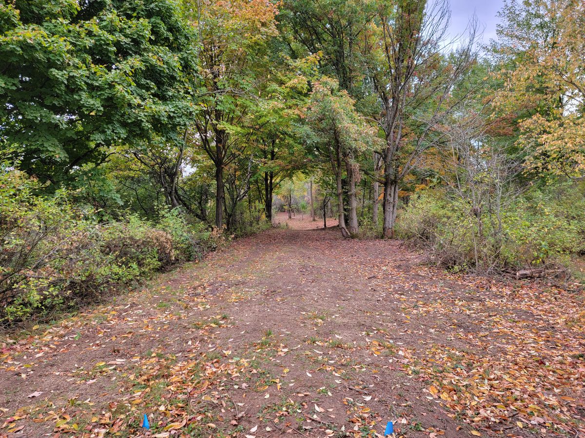 Hole 7 Blue