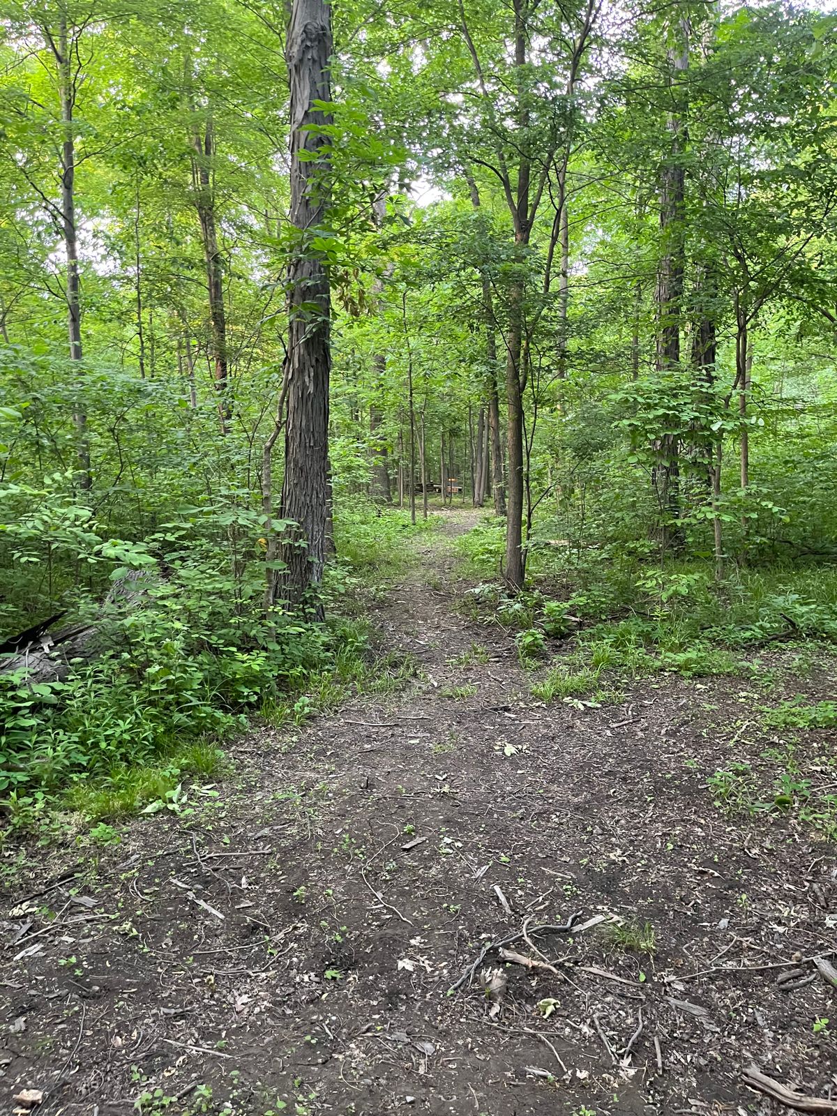 Hole 11