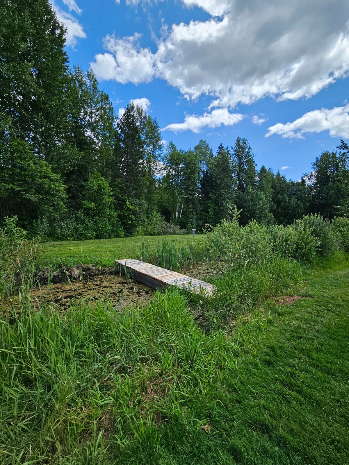walking bridge to 16