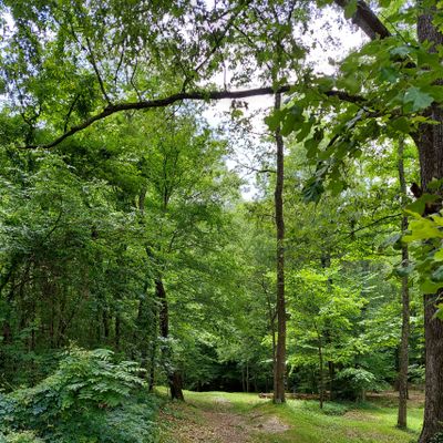 Yet again, another fun drop in elevation.