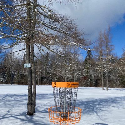 Winter wonderland