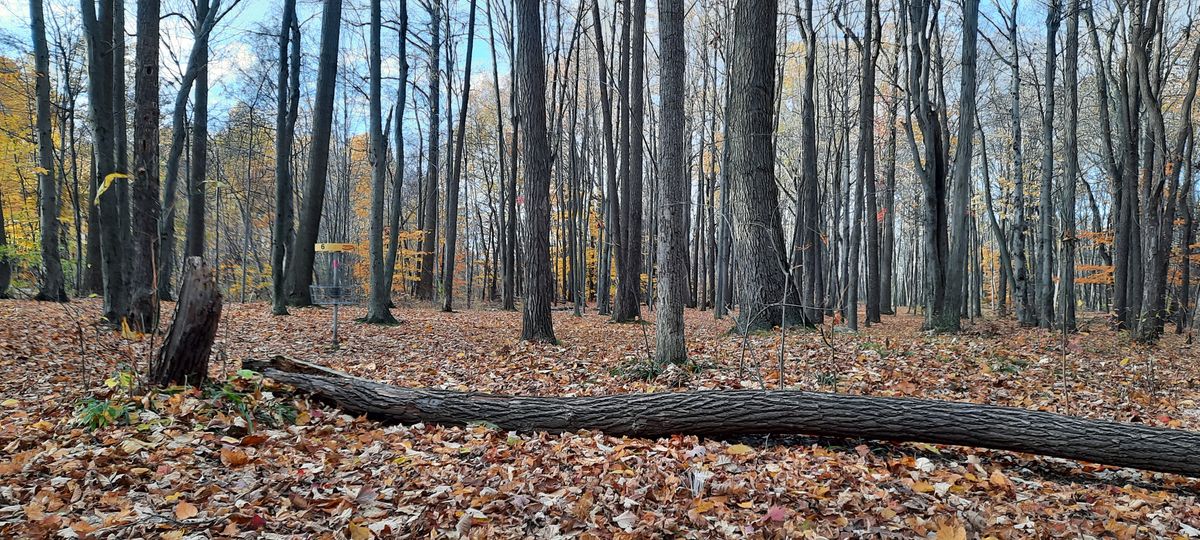 Autumnal hole 6