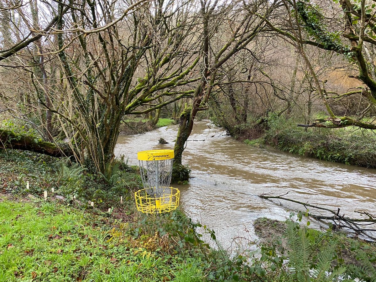Hole 10 basket looking back to the tee (River in flood)