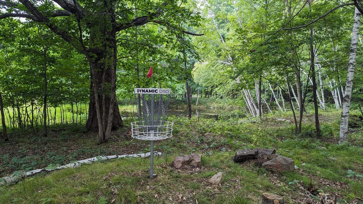 Hole 7 Basket
