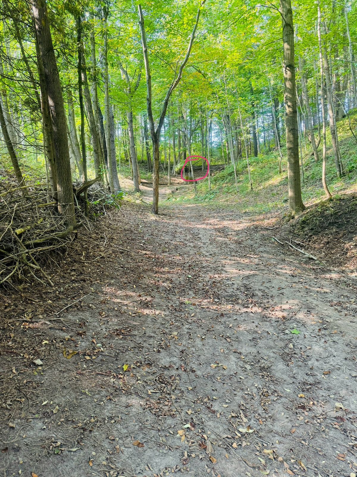 Hole 4 from the tee