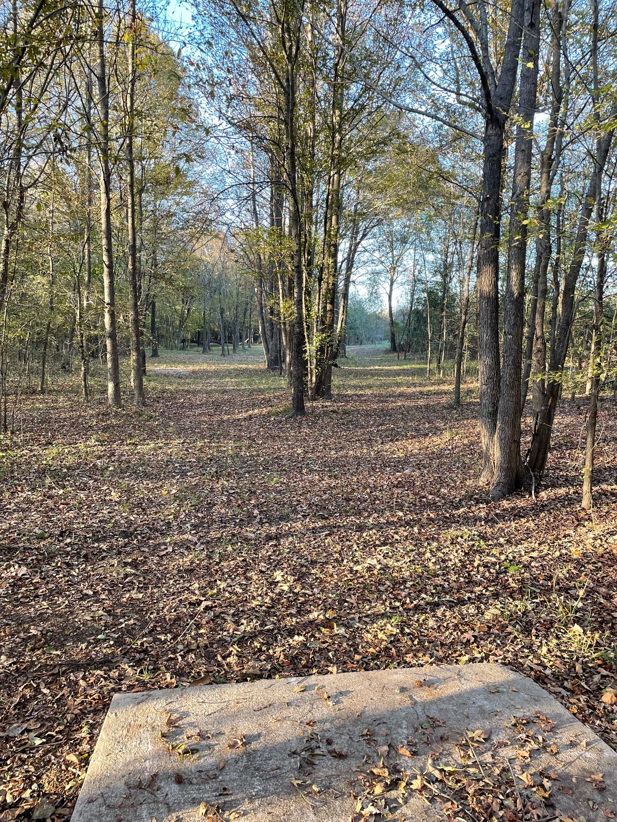 14 from tee box.