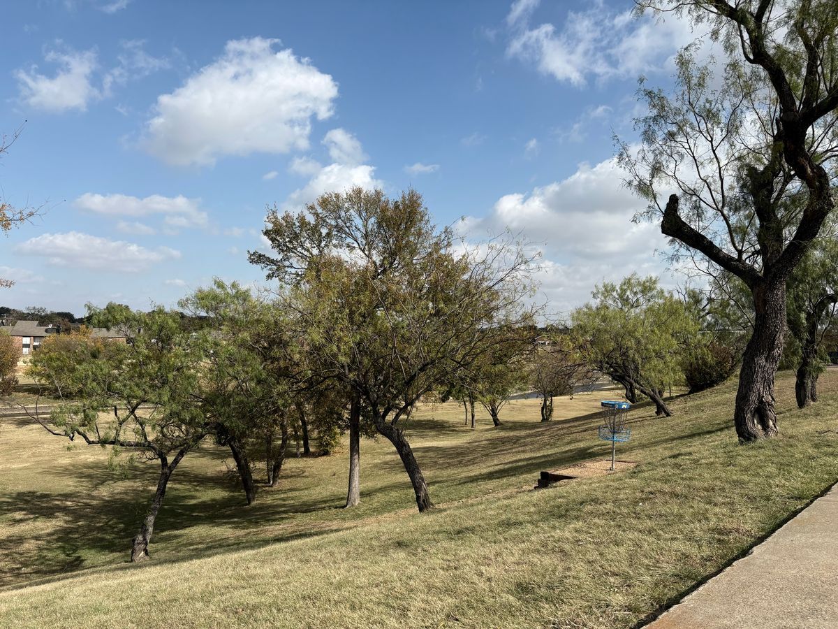 Hole 14 | New platform for basket!