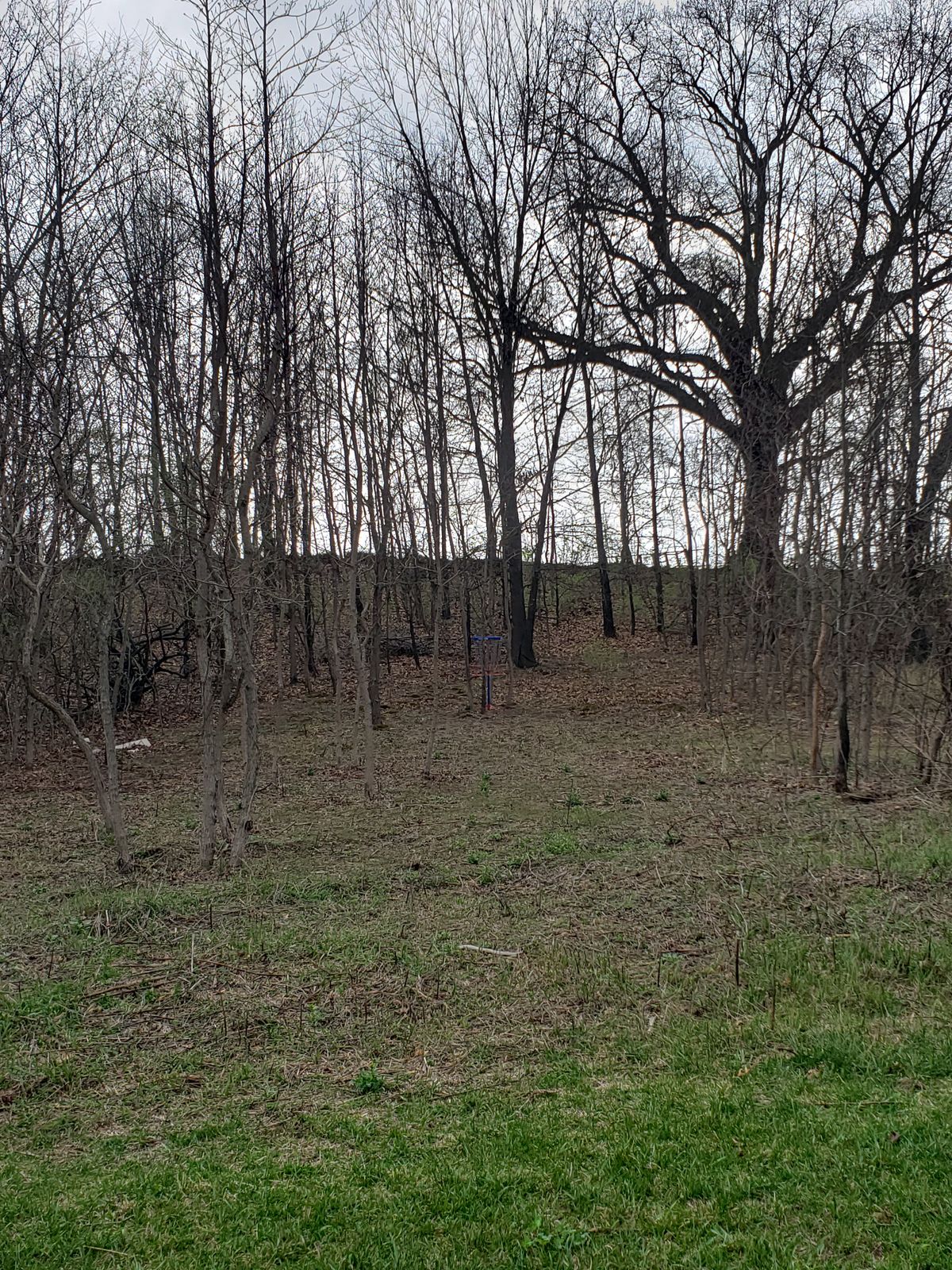 Hole 1 basket.