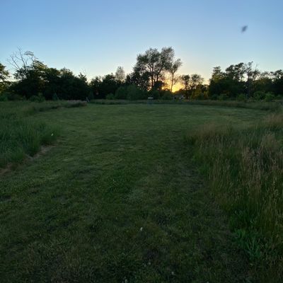 Hole 13 Green