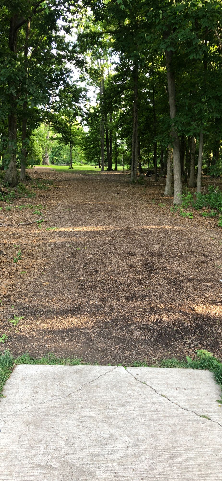 Hole 1