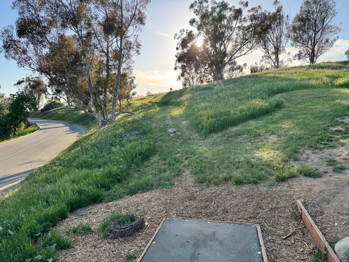 6 tee box