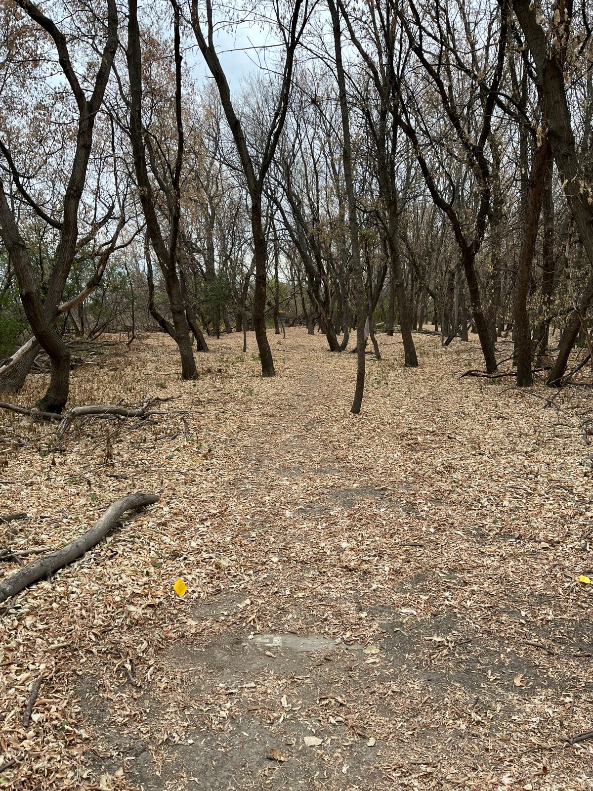 Hole 12 Teepad