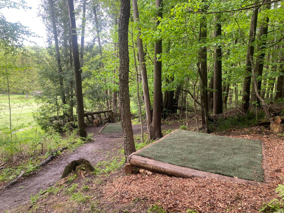 Hole 15 "Stumped" Short and Long Tees