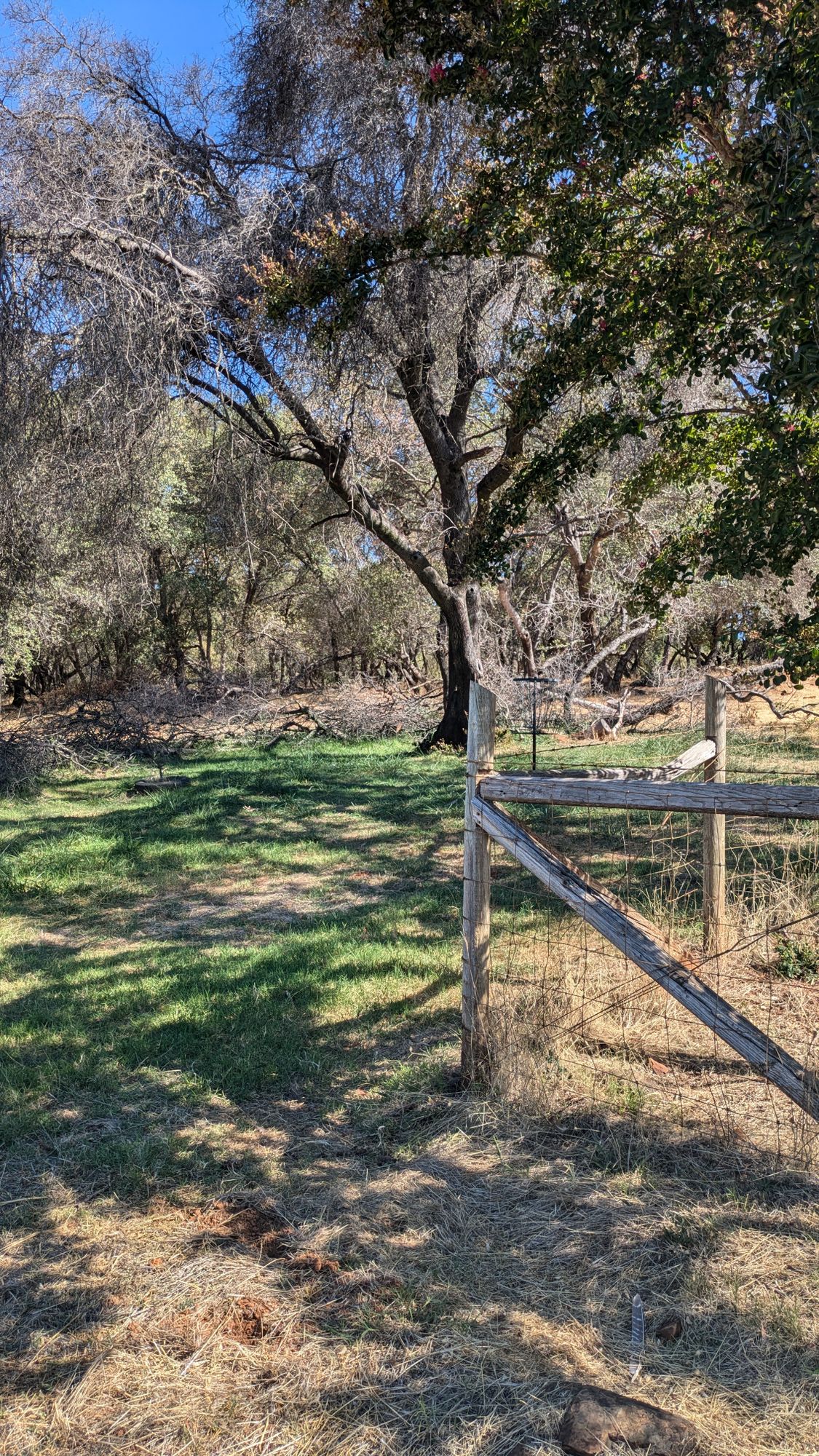 Hole 8 basket