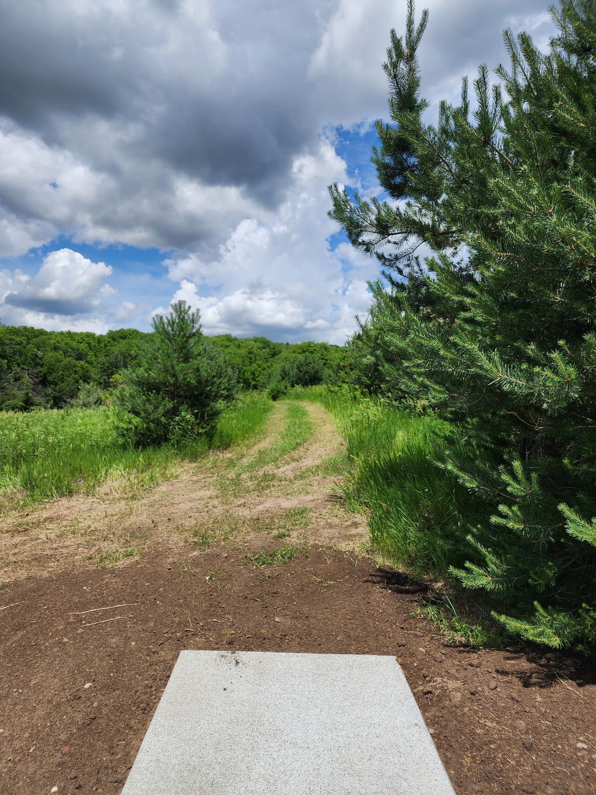 Hole 4
