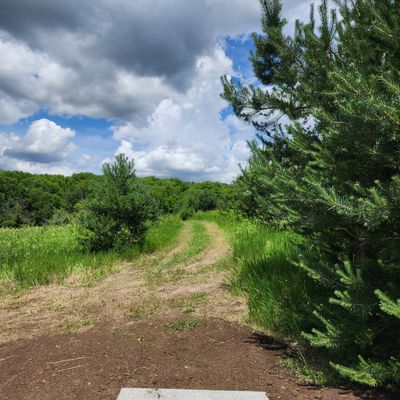 Hole 4
