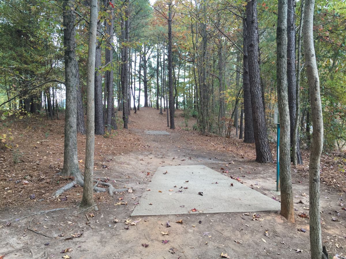 Hole 6