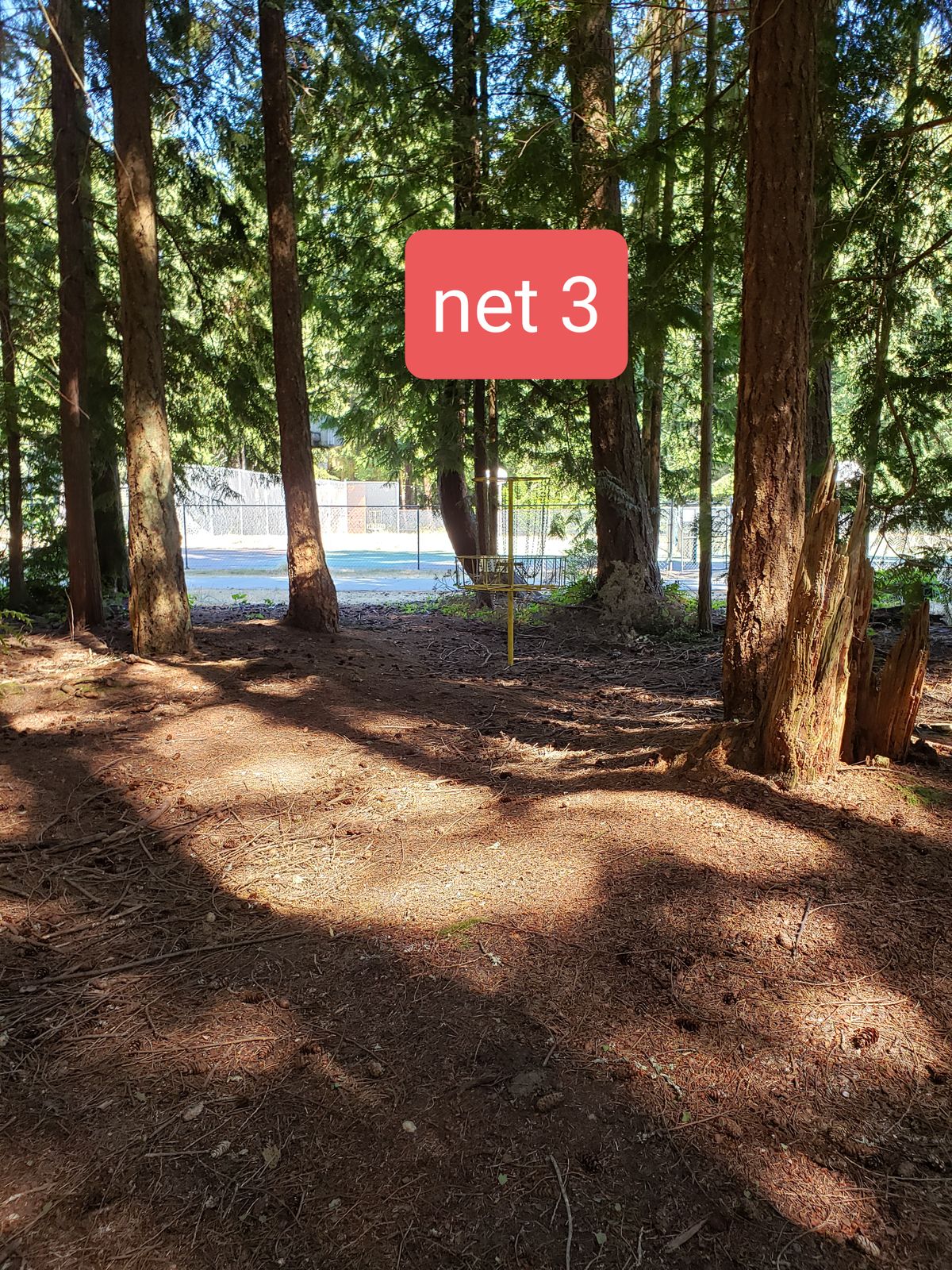 Net 3