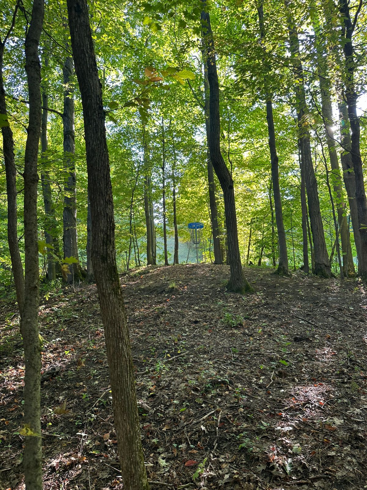 Take the tunnel to the windows on Hole 9