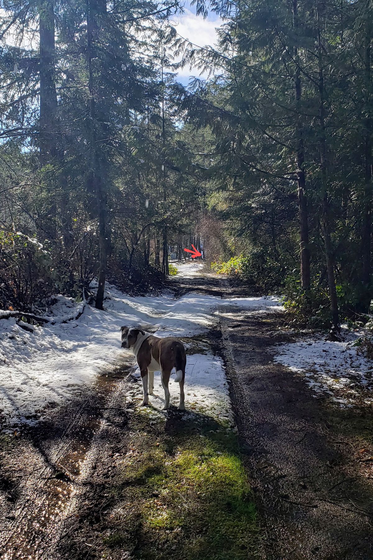 View from the BLUE tee on Hole 18