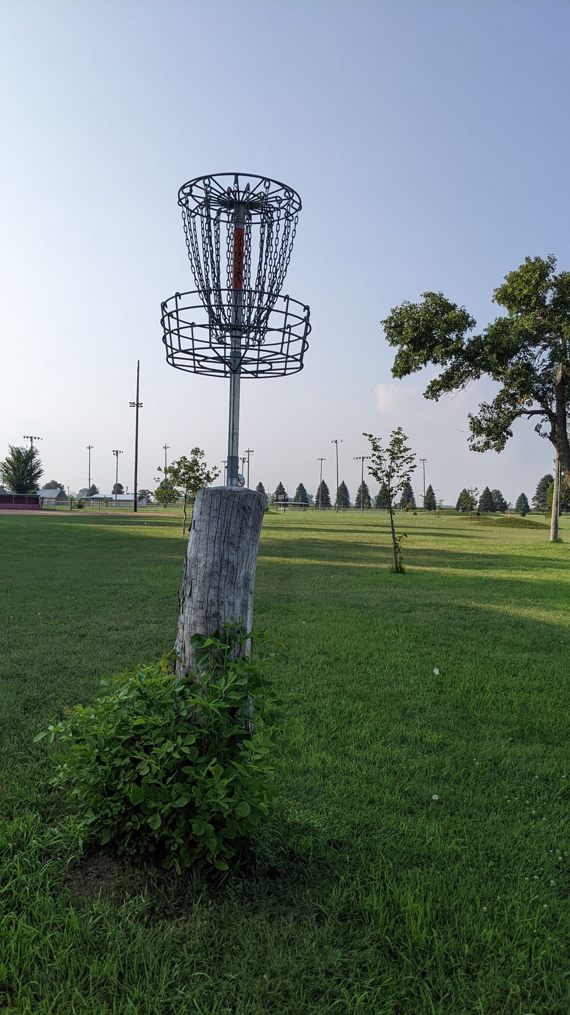Royal Park Basket