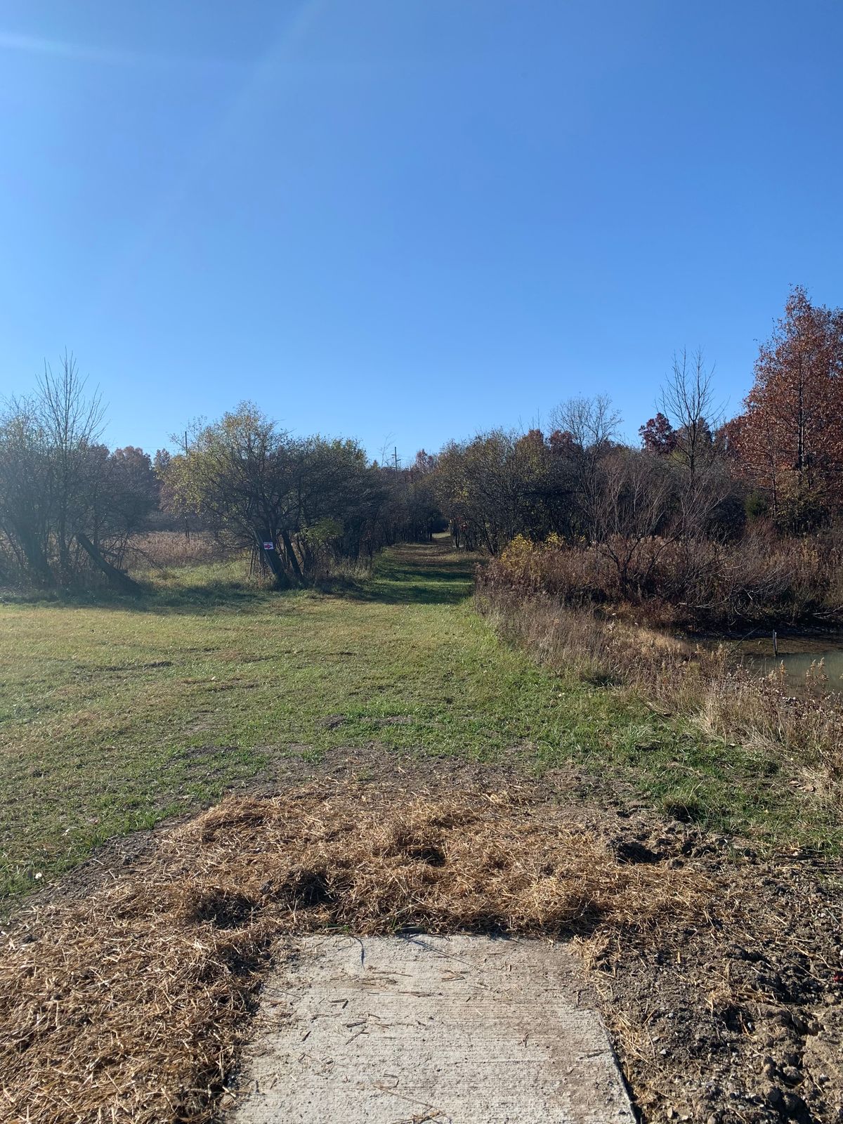 Hole 15 - Pro Tee