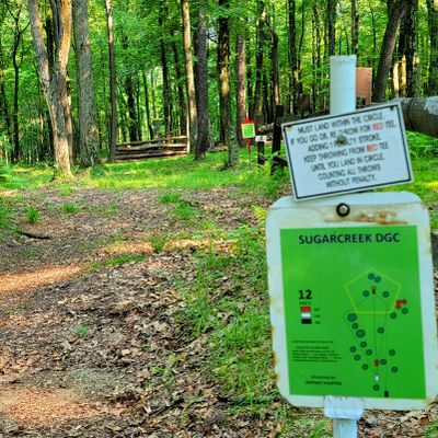 Hole 12 tee shot