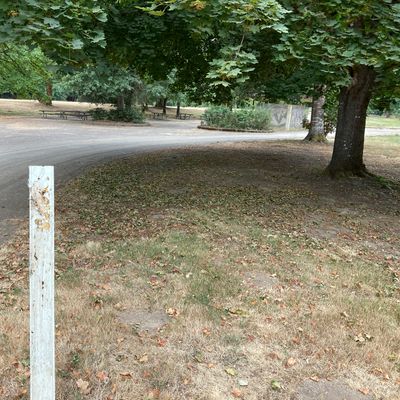 ￼This is the hole 8 based on Udisc, although there is a hole eight sign to the left