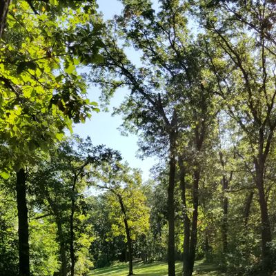 Hole 5