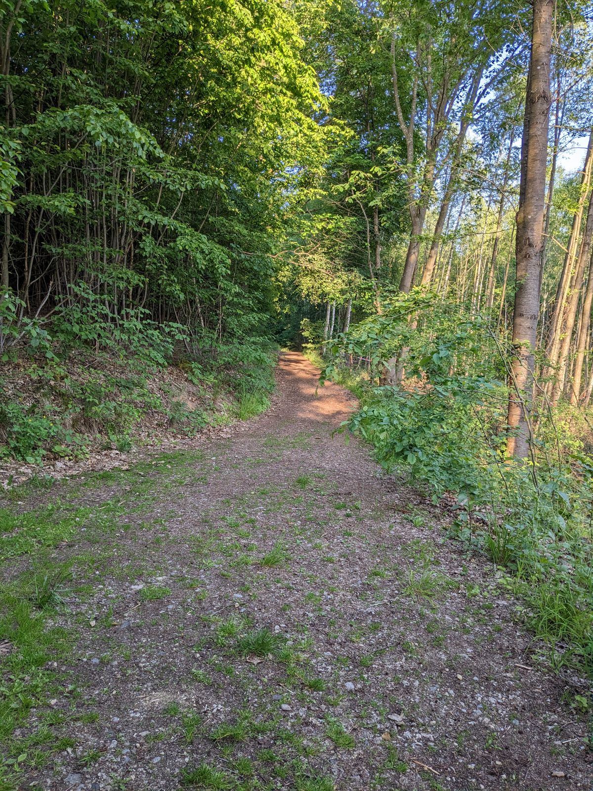 Hole 2