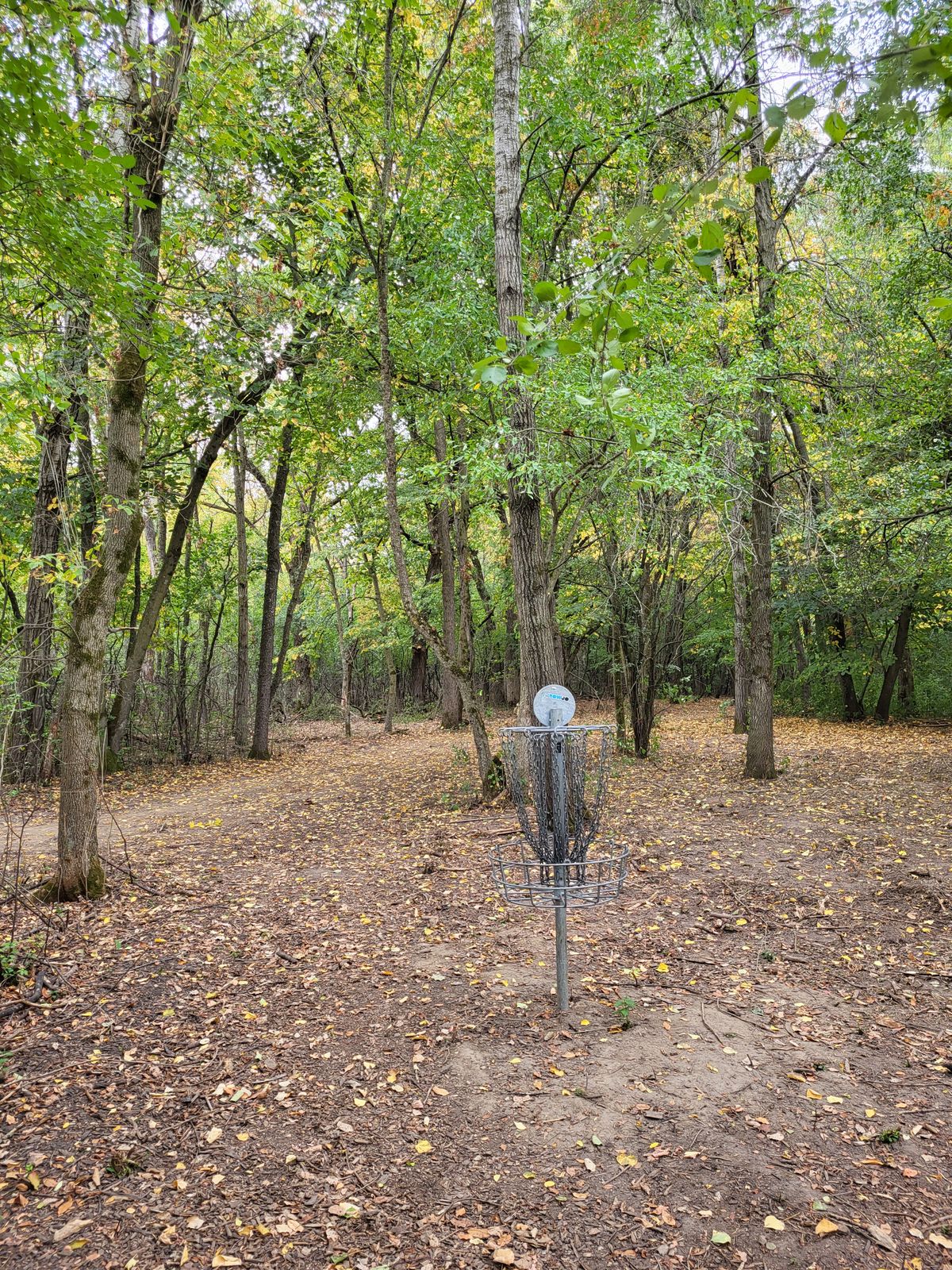 New hole 6 basket from behind