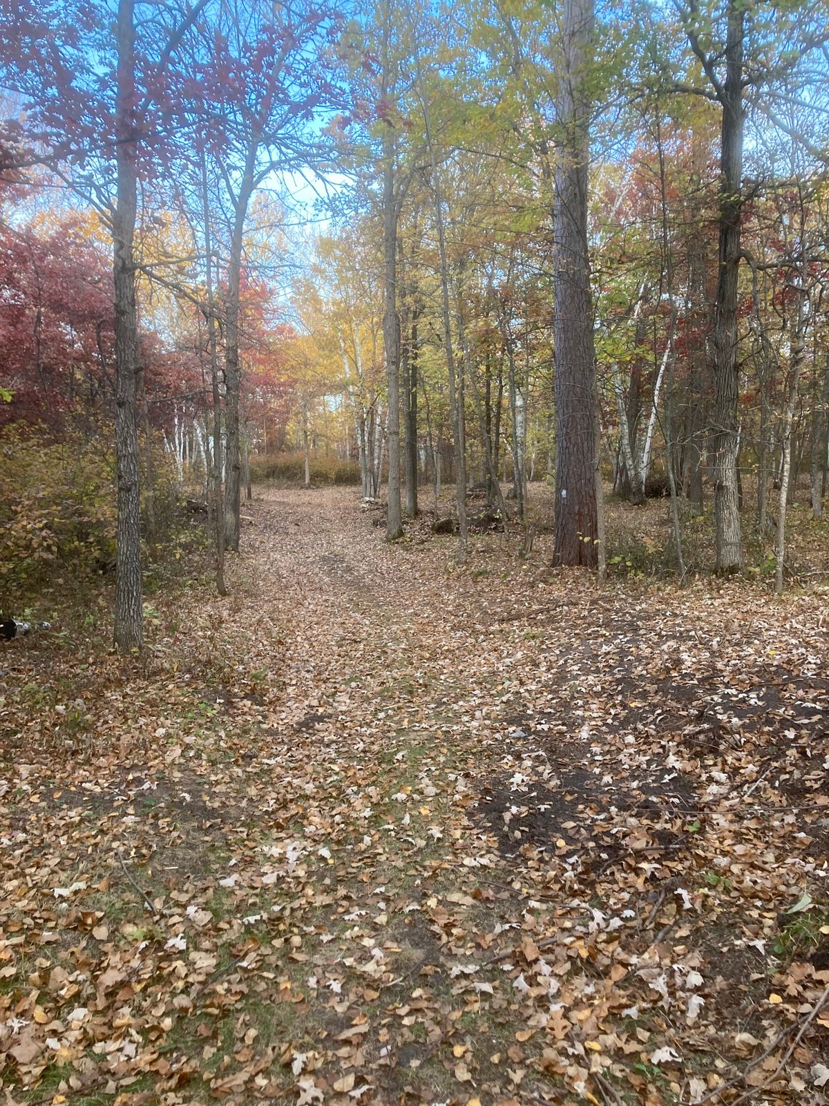 Hole 2 Tee and fairway