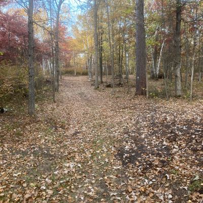 Hole 2 Tee and fairway