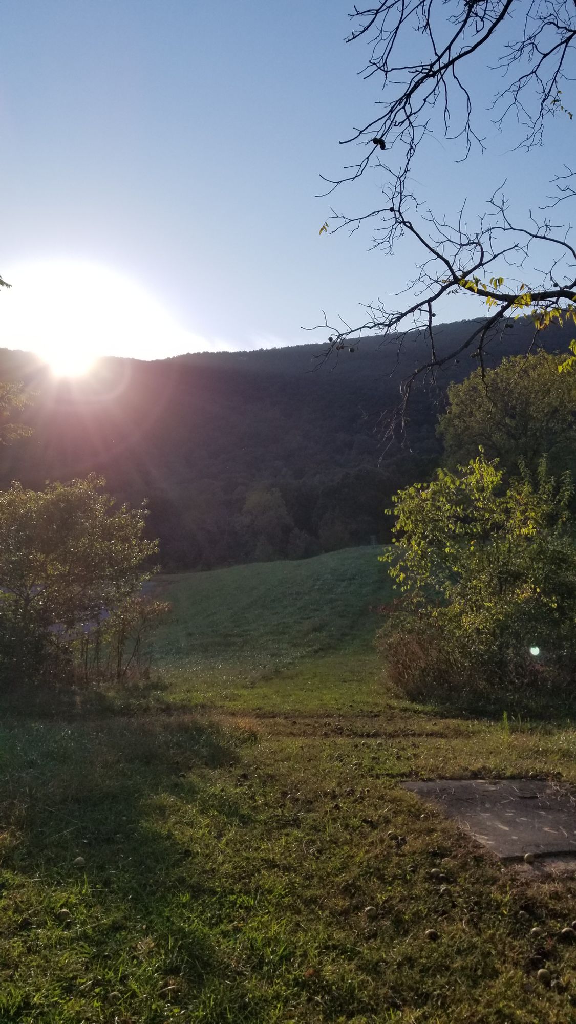 Hole 18 tee