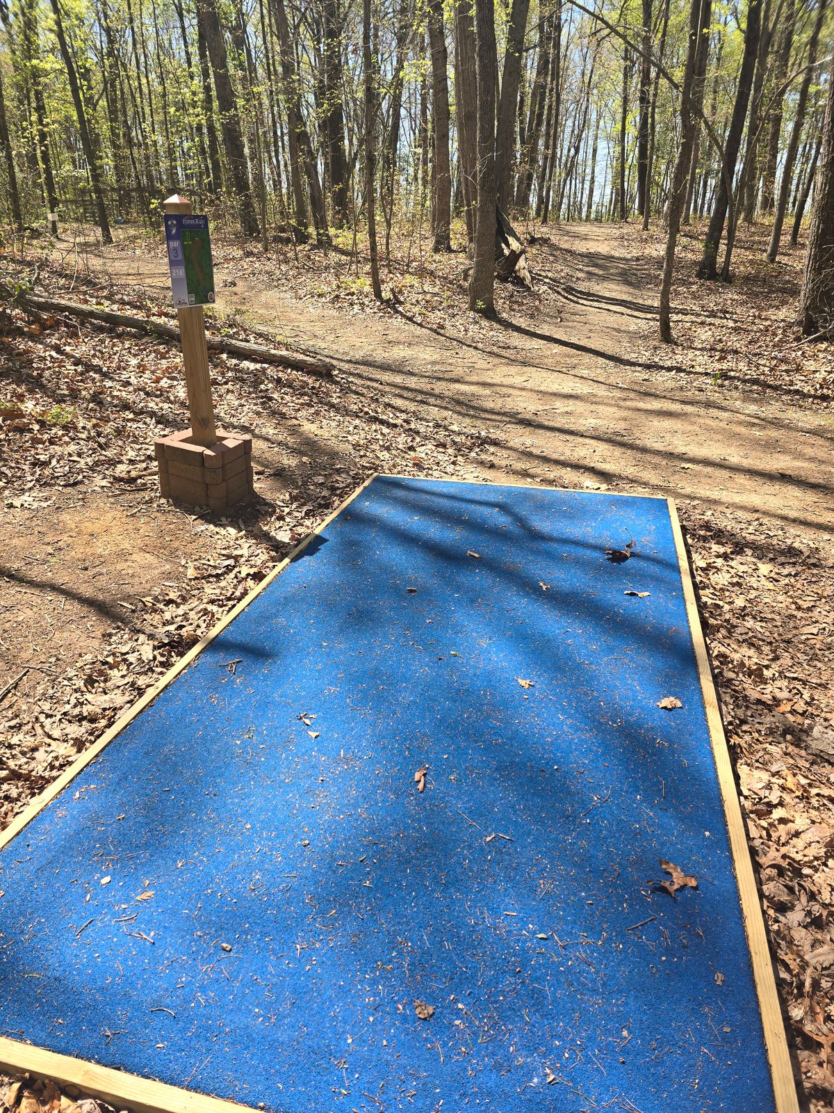 Hole 9 Tee