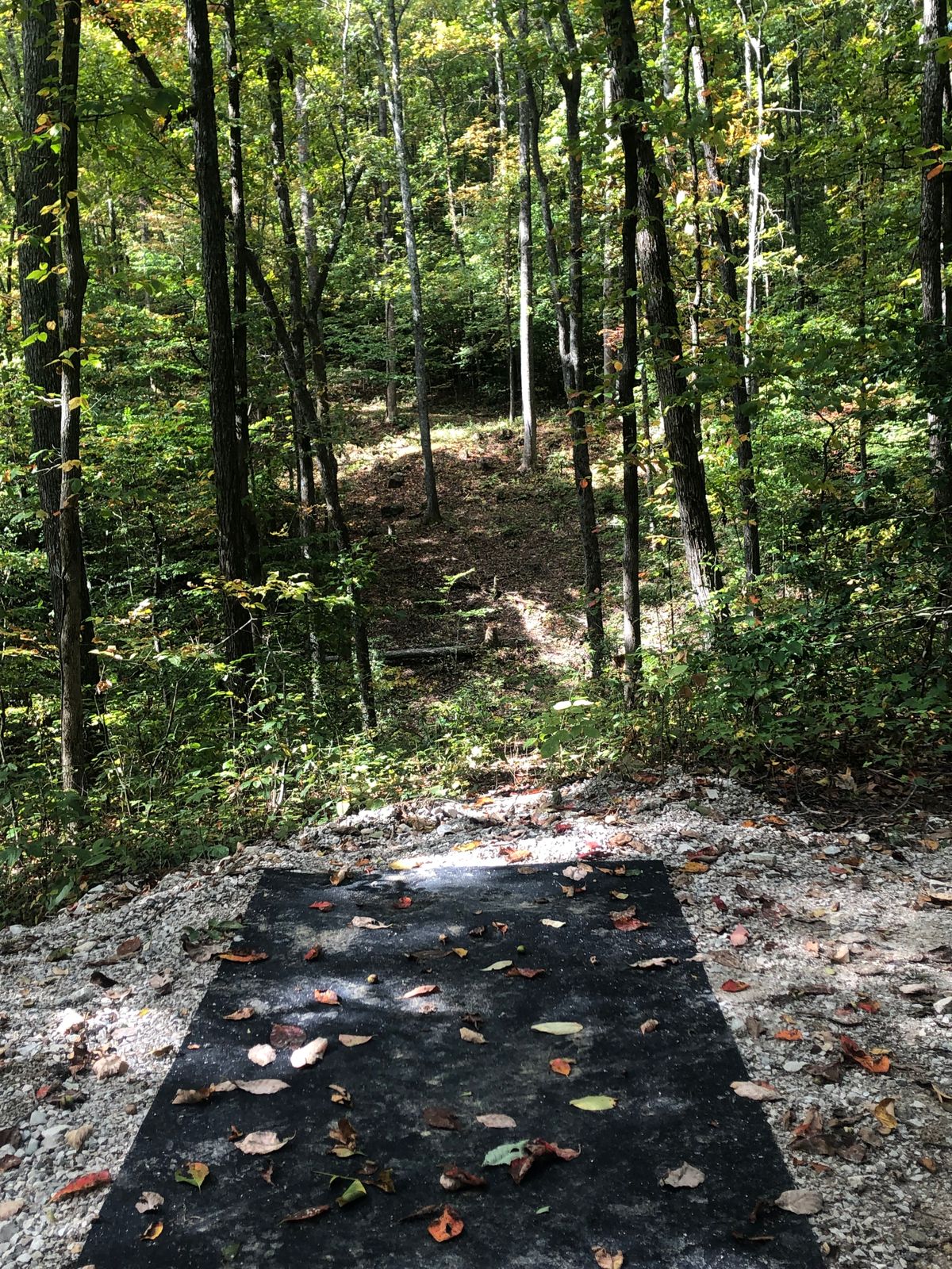 Hole 12 Tee pad. Plays straight then left
