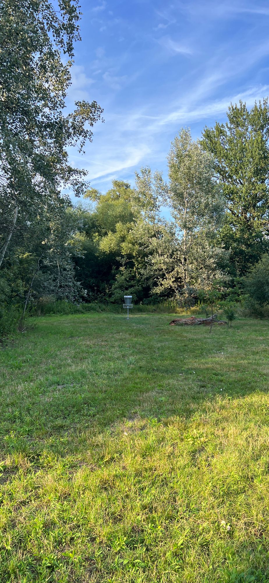 Target #11