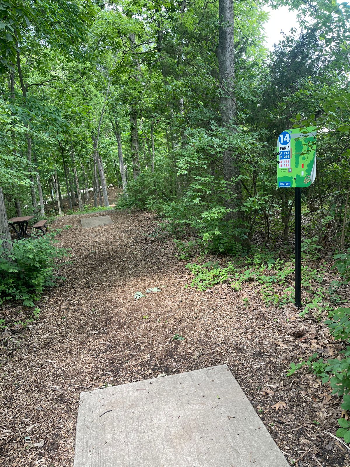 Hole 14. Both tees visible