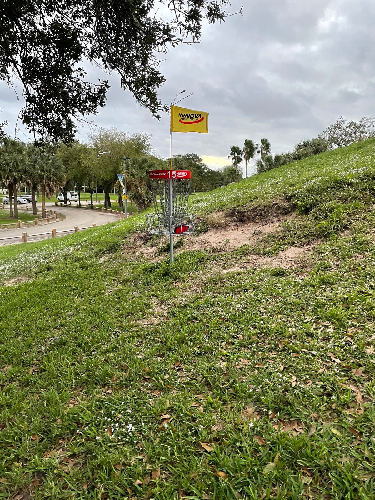 Hole 15 Basket