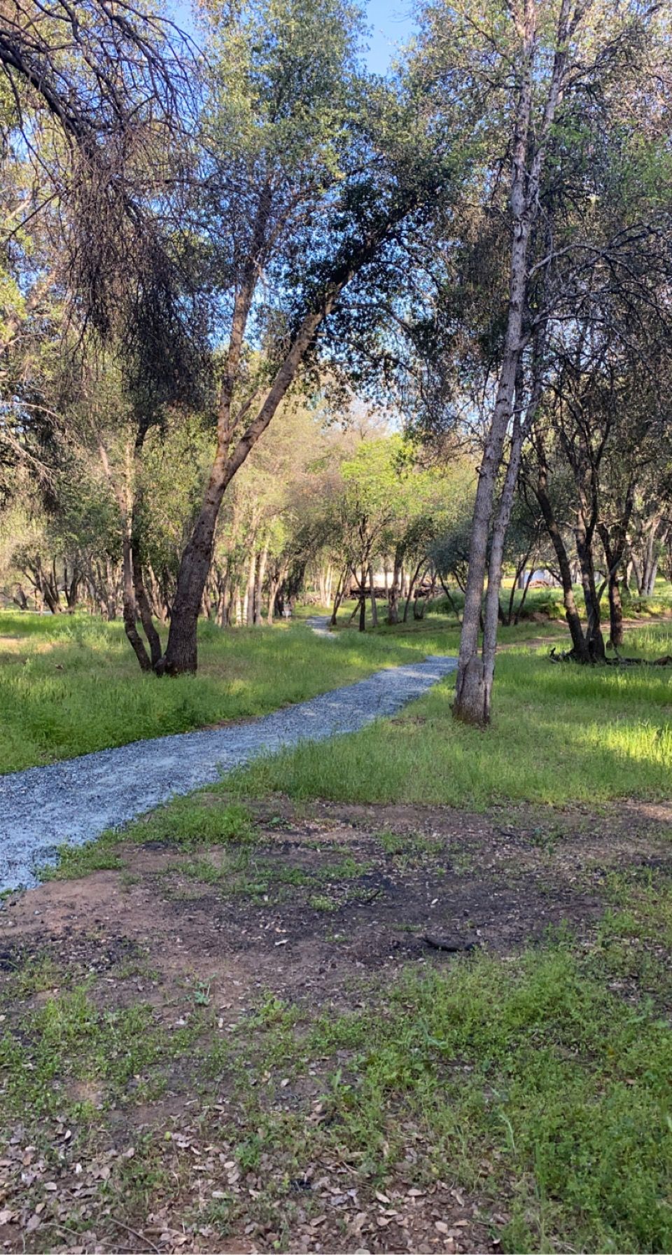 Hole 16 fairway