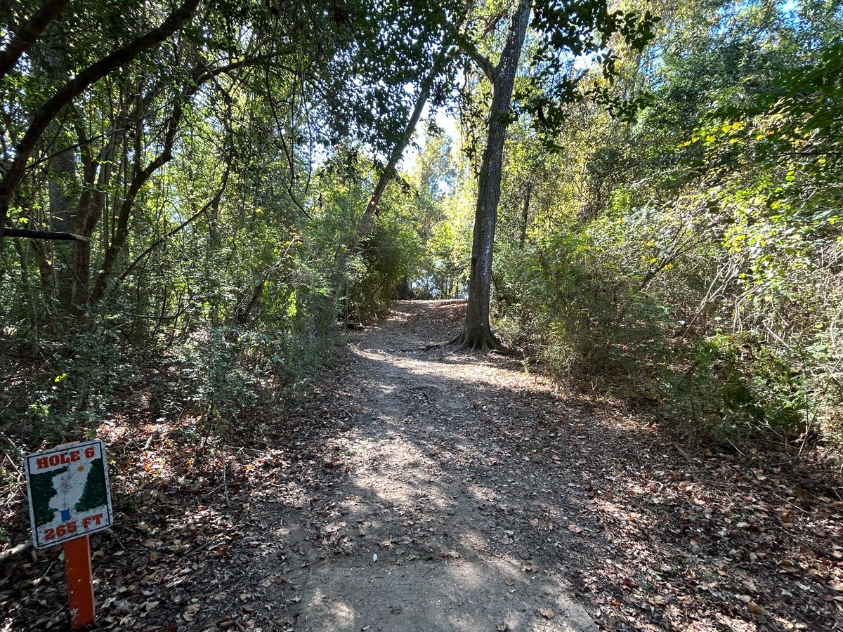 Hole 6 Fairway