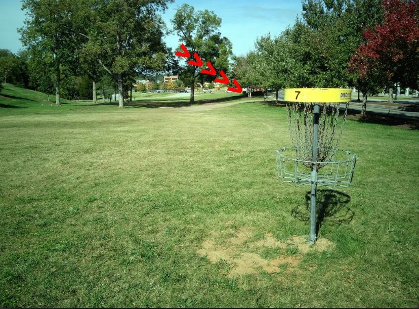 #7 basket to tee