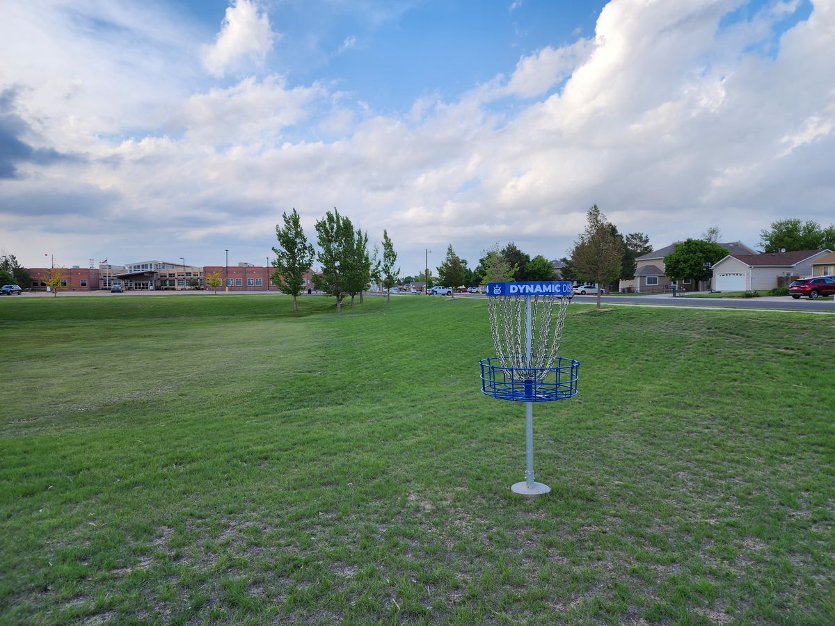Hole 4 - Basket