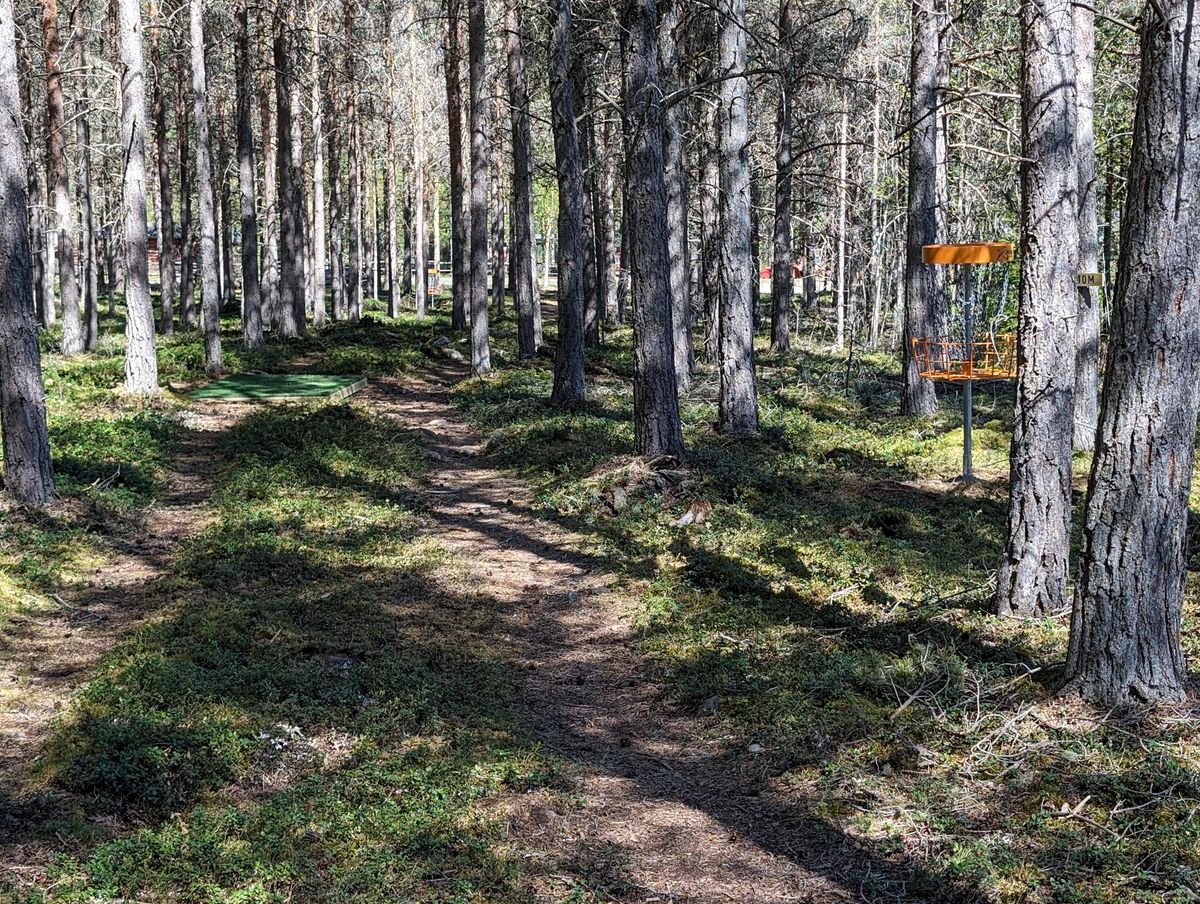 Hole 8