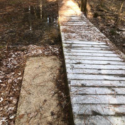 Hole 4 Tee pad covered up by boardwalk