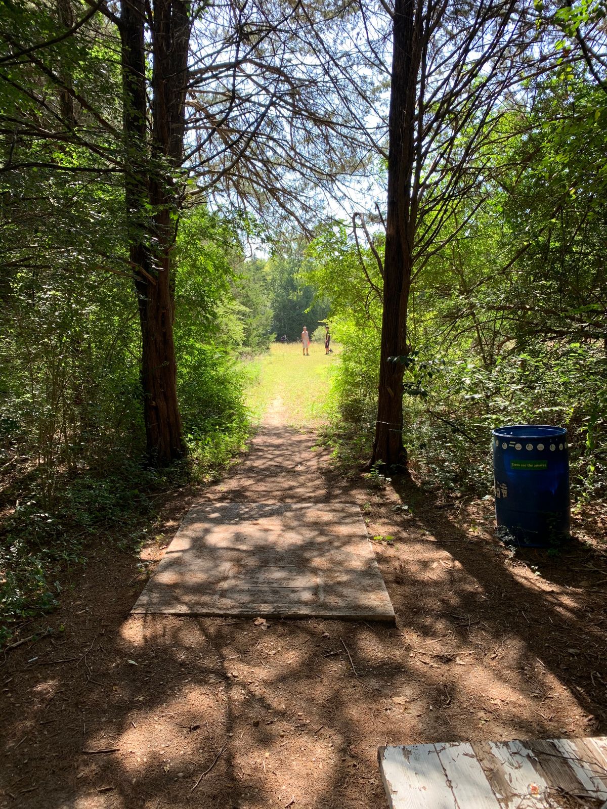 11 dogleg right, can see basket straight away from people in pic