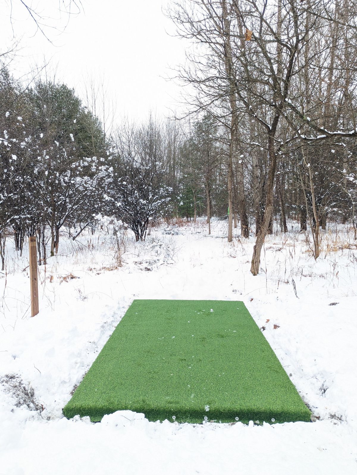 Hole 7 Red - " White-Breasted Nuthatch"
