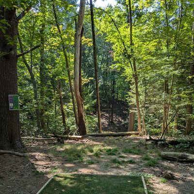 Hole 8