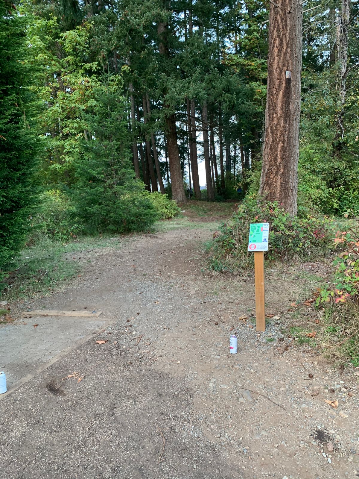 2nd tee