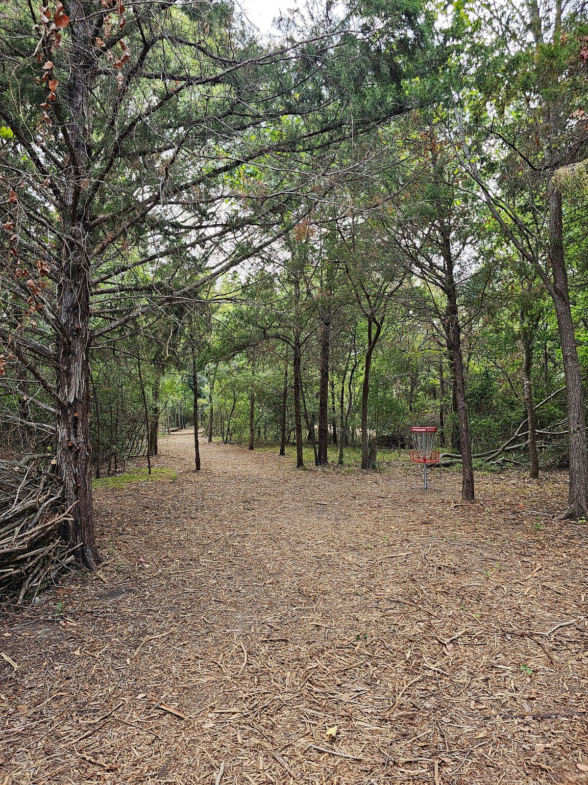 Hole 2 Backwards